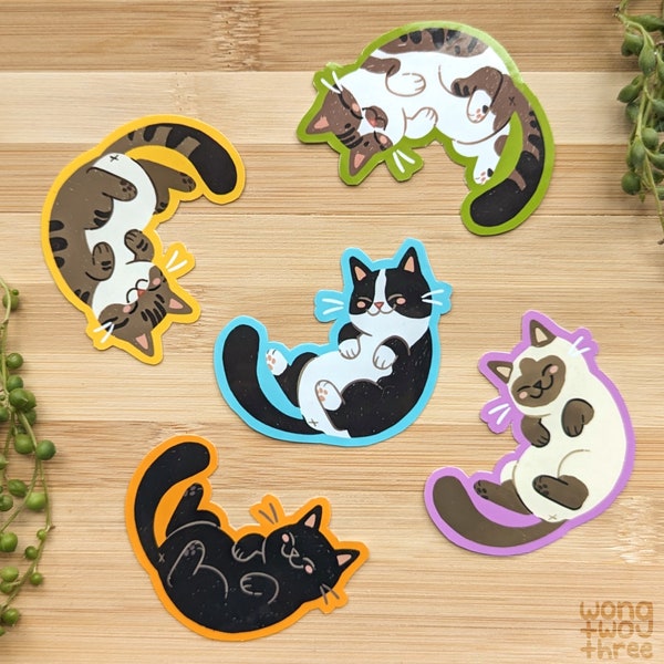 Belly Cat Stickers | Waterproof Vinyl Sticker | Cute Stickers | Black Cat | Siamese Cat | Tabby Cat | Tuxedo Cat |