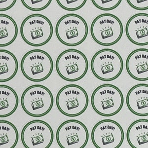 Pay Day Planner Micro Stickers