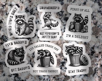 24 Funny Raccoon Sticker Sheets - Humorous Stickers for Planners, Scrapbooking, Kids&#39; Crafts, Gift for Animal Lovers, Stay Trashy!