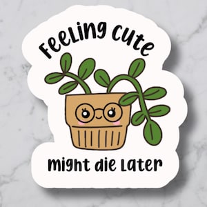 Funny Plant Stickers, Sarcastic Houseplant Sticker Pack, Plant Lover Gift, Indoor Plant Humor, Waterproof Digital PNG, Cute Plant Decals