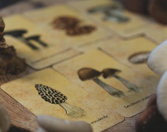 Venelestis Fungorum Mycological Mini Oracle Deck • Edible and poison mushrooms • Magical Herbalism, Green Witchcraft • Animist divination