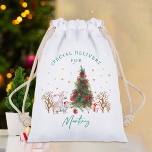 Personalised santa sack, Christmas stocking, Peter rabbit, Peter rabbit Christmas, Santa Sack, Christmas Eve box, First Christmas gift image 5