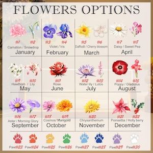 May include: A chart displaying flower options by month, with each month featuring a different flower. The chart includes the names of the flowers and the months they represent, from January to December. Paw prints are at the bottom.