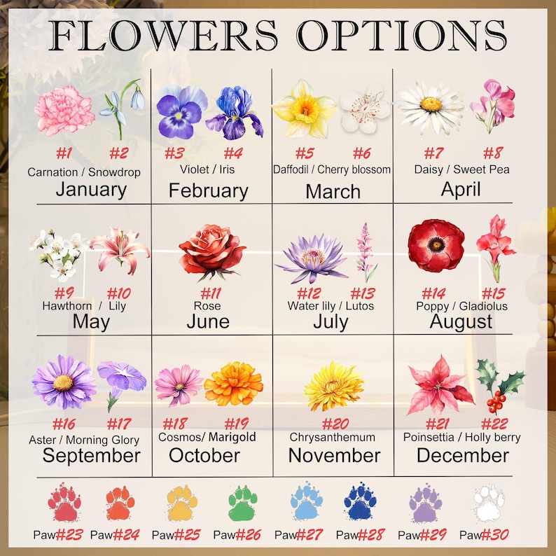 May include: A chart displaying flower options by month, with each month featuring a different flower. The chart includes the names of the flowers and the months they represent, from January to December. Paw prints are at the bottom.