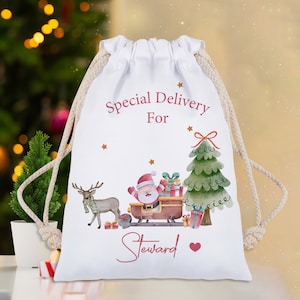May include: White drawstring Christmas gift bag with a festive design. Features Santa Claus in a sleigh pulled by a reindeer, a Christmas tree, and the text "Special Delivery For Steward". Includes a drawstring closure.