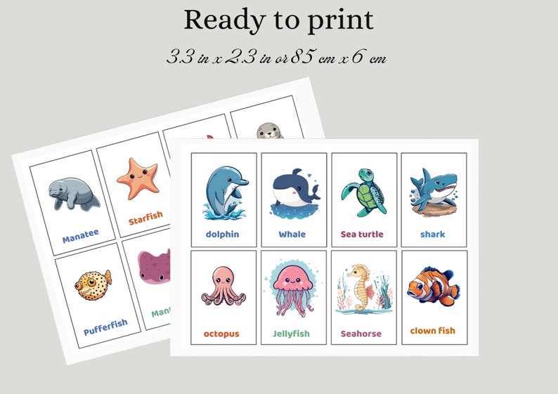 Printable Flash Cards for Kids With Sea Animals Toddler Flash Etsy