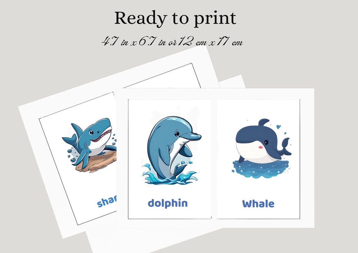 Printable Flash Cards for Kids With Sea Animals Toddler Flash Etsy