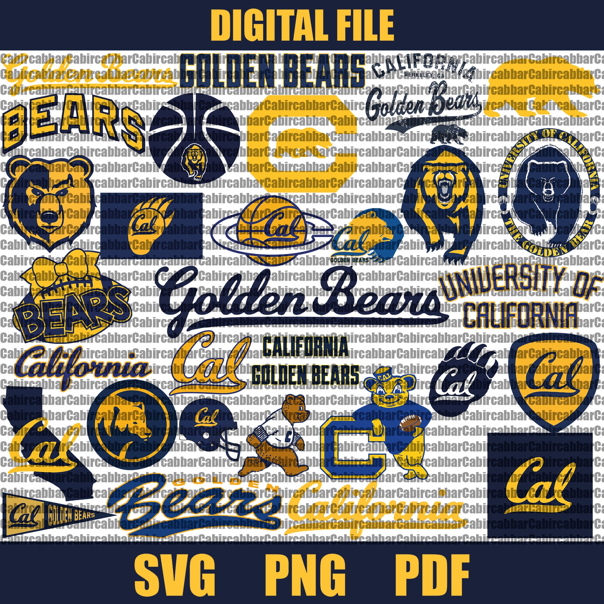 Berkeley Sticker 