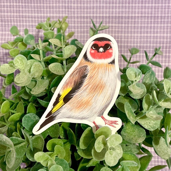 Goldfinch Sticker, 3 Inch Stickers, Birdwatching, UK Wildlife Art, Birdwatcher Gift, Laptop Decal, Animal Decals, Gifts for Bird Lovers