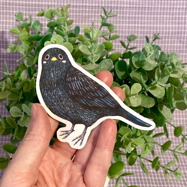 Blackbird Sticker, 3 Inch Stickers, Birdwatching, UK Wildlife Art, Birdwatcher Gift, Laptop Decal, Animal Decals, Gifts for Bird Lovers