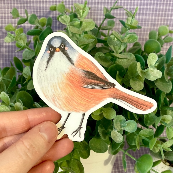 Bearded Tit Sticker, 3 Inch Stickers, UK Wildlife Art, Birdwatcher Gift, Nature, Laptop Decal, Animal Decals, Gifts for Bird Lovers, Birds