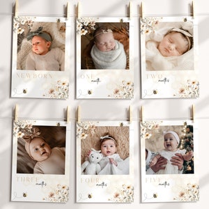Editable Sweet To Bee ONE First Birthday Photo Banner, Honey Bee 1st Year Milestone Photos Girls Bee-Day Monthly Photo Sign Printable Decor