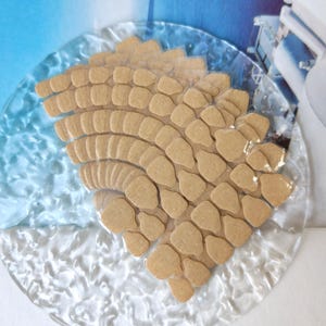 Op de afbeelding: Een heldere glazen plaat met een golfachtig ontwerp bevat een verzameling kleine, bruine, onregelmatig gevormde koekjes. De koekjes zijn in een waaiervorm gerangschikt, waardoor een textuur ontstaat. De achtergrond heeft een blauw en wit abstract ontwerp.