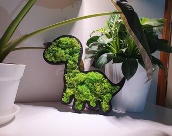 Dinosaur Moss Art