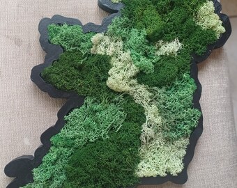 Hand crafted in Ireland. Bespoke pieces of moss art designed by you, created by me.