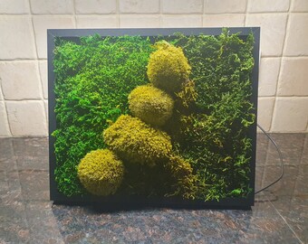 Hand crafted in Ireland, Bespoke moss wall art.