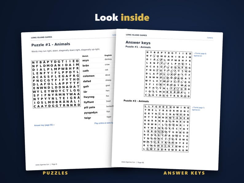 Mots mêlés gallois pour apprenants, volume 1 | 60 grilles à imprimer avec définitions en anglais | PDF avec liens hypertextes image 3