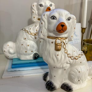 Modern Staffordshire Spaniel Dogs