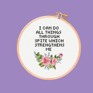 Funny Spite Cross Stitch Pattern: Snarky Beginner Design (PDF Pattern)