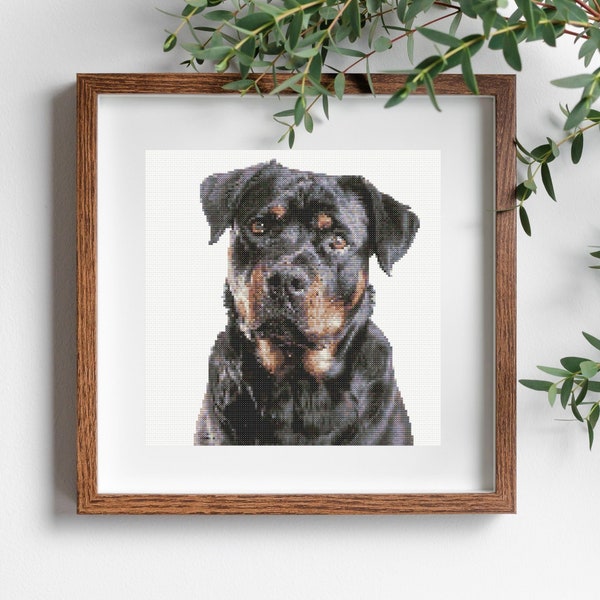 Patrón de punto de cruz de retrato de Rottweiler PDF descargable