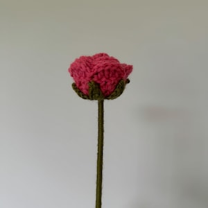 Crochet Rose