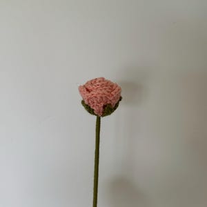 Crochet Rose