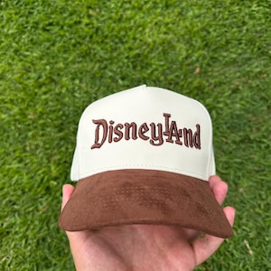 DisneyLAnd Suede brim hat