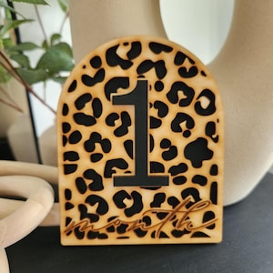 Ensemble de panneaux d'étape mensuels à imprimé guépard