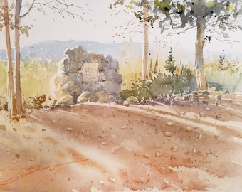 The Israeli Forest. Watercolor painting. Original watercolor. Forest landscape. Park landscape. Eco landscape. Natural landscape.