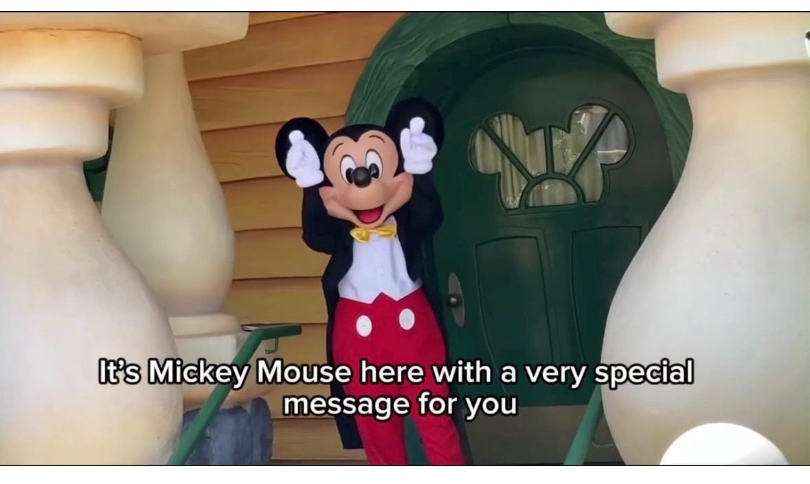 Disneyland Surprise Trip Reveal Video • Personalised Digital Vacation Announcement • Custom Kids Name & Travel Date Gift- Irish seller