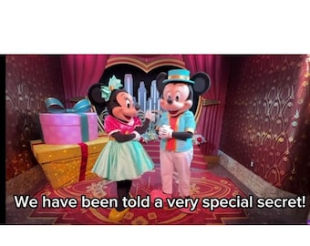 Disneyland Paris Christmas themed Surprise Trip Reveal Video • Personalised Digital Xmas present | gift Announcement • - Irish seller