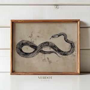 Może przedstawiać: Czarno-biała ilustracja węża w ramie w stylu vintage. Wąż jest zwinięty i ma fakturowany wzór. Tło jest jasnobeżowe.