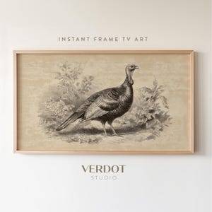 Thanksgiving Decor Turkey Frame TV Art, Fall Vintage Rustic Country Drawing Screensaver, Instant Download | TV25105