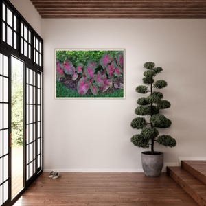 Colorful Caladium: Garden Delight for Your Walls, Landscape, Wall, Art, Decor