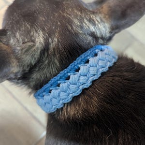 Gehaakt hondenhalsbandpatroon, tutorial puppyhalsband, eenvoudig gehaakte huisdieraccessoires, doe-het-zelf hondenbandana-stropdas, hondencadeau, niet genaaid, Engels-VS