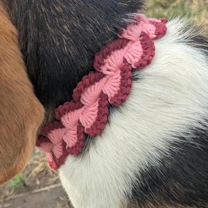 May include: A crocheted pet collar featuring a scalloped edge design in alternating shades of light pink and dark maroon yarn. The collar is wrapped around the neck of a dog with brown, black, and white fur, showcasing the textured yarn pattern.