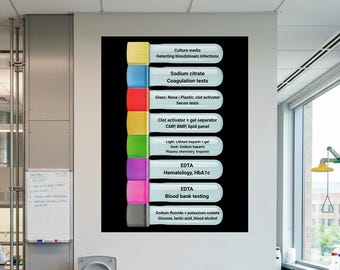 Ordre du tirage au sort, tableau de phlébotomie, décoration de laboratoire, affiche de référence clinique