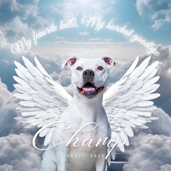 Pet Memorial Photo with 10 Images + Template | Pet Sympathy Gift | Loss of Dog or Cat | Memorial Gift | Angel Wings & Stairway to Heaven