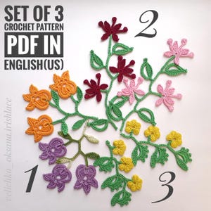 3つのかぎ針編みパターンのセット かぎ針編みの葉と花の枝 PDFで段階的に編むかぎ針編みのチュートリアル アイルランドのレースのチュートリアルのためのかぎ針編みのモチーフ