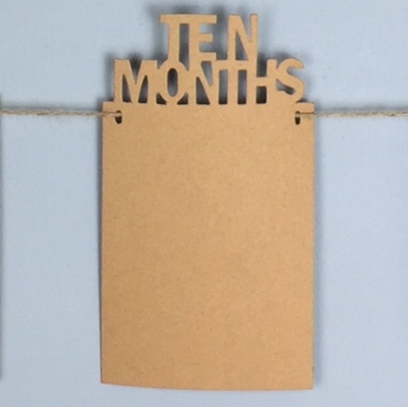 May include: A brown wooden banner with the words "TEN MONTHS" cut out. The banner is strung on a twine string.