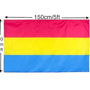 May include: A pansexual pride flag with three horizontal stripes: pink, yellow, and blue. The flag measures 5 feet wide by 3 feet tall.