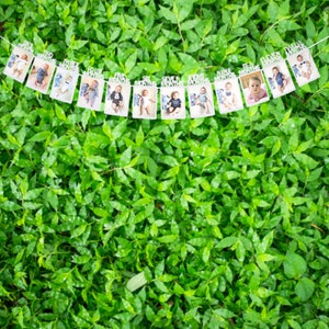 May include: A white banner with 12 photo cards featuring a baby boy at different ages. Each card has a number and the words "months" printed on it. The banner is strung together with white string.