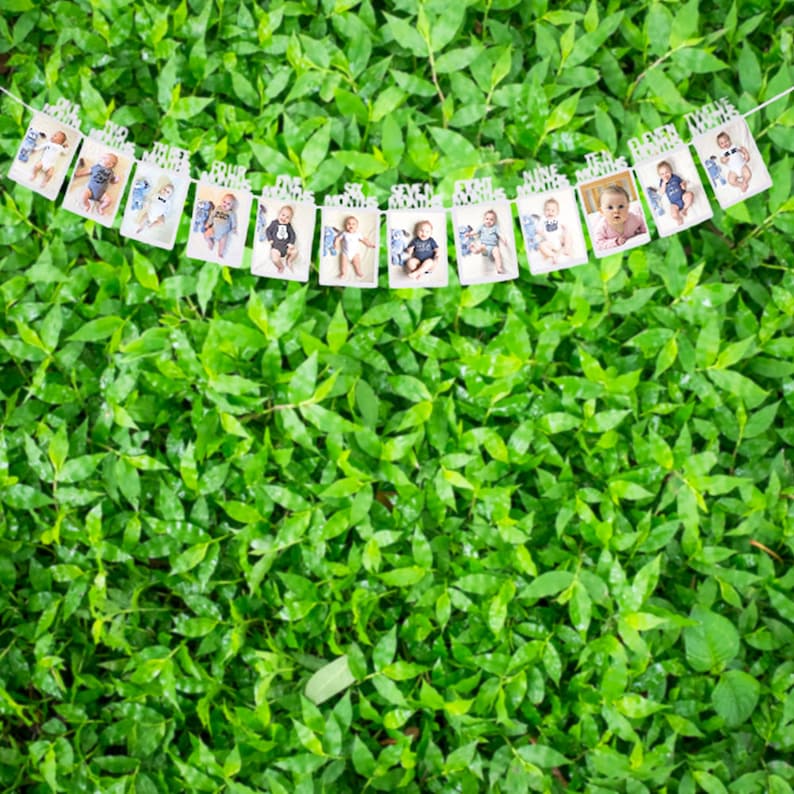 May include: A white banner with 12 photo cards featuring a baby boy at different ages. Each card has a number and the words "months" printed on it. The banner is strung together with white string.