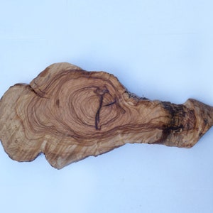 Natural Wood Slice Modern Abstract Object