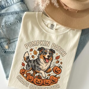 May include: A cream-coloured t-shirt featuring a graphic of an Australian Shepherd dog surrounded by orange pumpkins, acorns, and autumn leaves. The text PUMPKIN PATCH CHAOS COORDINATOR is printed in a curved brown font above and below the dog illustration.