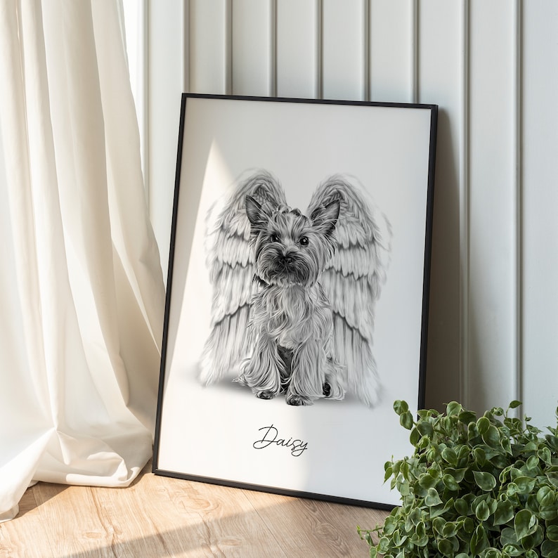 May include: Black and white illustration of a dog with angel wings. The dog is a Yorkshire Terrier and the wings are large and feathery. The dog's name, "Daisy", is written below the image.