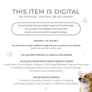 Pet Loss Memorial Portrait From Photo, Loss Of Pet, Pet Loss Sympathy Gift, dog with Angel Wings, Minimalist Dog Loss Drawing, Pet portrait image 7