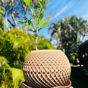 Geometric Planter Pot for plants and bonsai, 5 Colors, Biodegradable Plant Pot made of recycled material for Indoor and Outdoor Plants