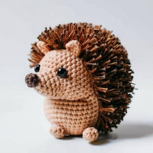 Heath the Hedgehog - Crochet hedgehog pattern - amigurumi hedgehog pattern - crocheted hedgehog amigurumi pattern - PDF crochet pattern