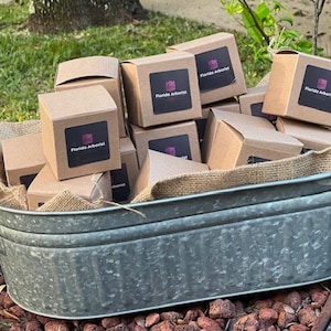 Tree Seed in a Box - Personalize for business or personal events!
